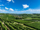 Una veduta delle colline che circondano Grinzane Cavour, nelle Langhe (Archivio Paesaggi Vitivinicoli - Lavezzo Studios)