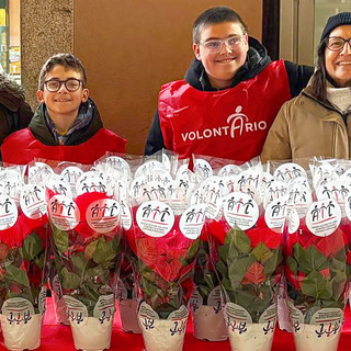 Ail Cuneo chiude il 2025 con circa 250 mila euro di donazioni e ringrazia benefattori e volontari Ail Cuneo chiude il 2025 con circa 250 mila euro di donazioni e ringrazia benefattori e volontari