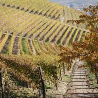 Fi, fija, fjà: enigmi del langhetto all’Università dell’Alta Langa