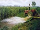 Siccità e riordino irriguo, Confagricoltura Piemonte: "Servono risposte all'emergenza e un piano strutturale per l'acqua"
