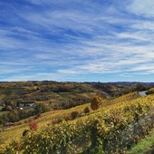 L'autunno colora i vigneti delle Langhe