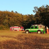 Vasto incendio tra Priero e Montezemolo: ingente dispiego di uomini e mezzi per domare le fiamme e mettere in sicurezza le case