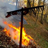 Immagine di repertorio