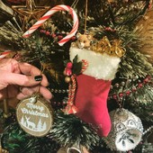 Festa dell’Immacolata: tempo di presepe e albero di Natale