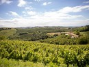 Colline dell'Alta Langa (foto Archivio Ente Turismo LMR)