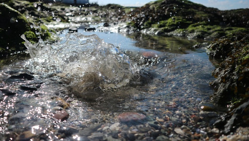 Immagine di repertorio