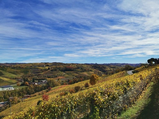 L'autunno colora i vigneti delle Langhe
