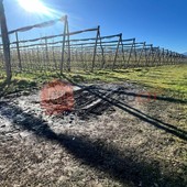 Il luogo deove è stata date alle fiamme l'autovettura Il luogo deove è stata date alle fiamme l'autovettura