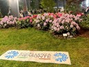 Asproflor a "Clorofilla 2025": natura, gioco e creatività in un week end ad Alba