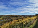 L'autunno colora i vigneti delle Langhe