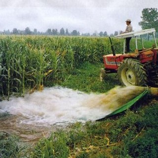 Siccità e riordino irriguo, Confagricoltura Piemonte: "Servono risposte all'emergenza e un piano strutturale per l'acqua"