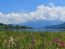 Immagine di repertorio Immagine di repertorio