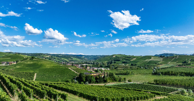Una veduta delle colline che circondano Grinzane Cavour, nelle Langhe (Archivio Paesaggi Vitivinicoli - Lavezzo Studios)