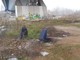 Negli scatti realizzati dall'assessore Marcarino i cumuli di rifiuti abbandonati presso la tangenziale albese