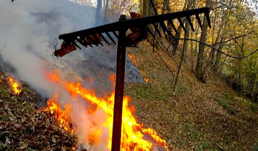 Immagine di repertorio