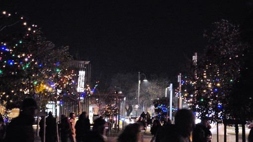 L'accessione dell'anno scorso L'accessione dell'anno scorso