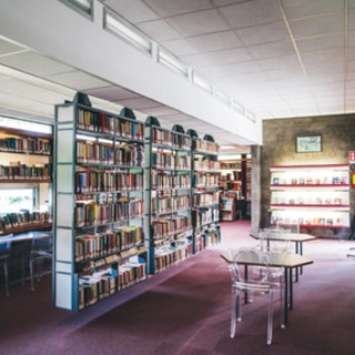 A Dogliani un incontro con Mai+Sole: “Uscire dal silenzio è possibile, ma servono condizioni reali per farlo” A Dogliani un incontro con Mai+Sole: “Uscire dal silenzio è possibile, ma servono condizioni reali per farlo”