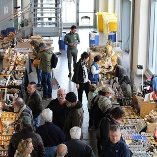 Tra minerali, fossili e meraviglie naturali: Bra riscopre la geologia del mondo