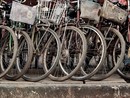 Una bicicletta per ripartire: il progetto della Caritas Vicaria delle Langhe che restituisce autonomia a chi l’ha perduta Una bicicletta per ripartire: il progetto della Caritas Vicaria delle Langhe che restituisce autonomia a chi l’ha perduta