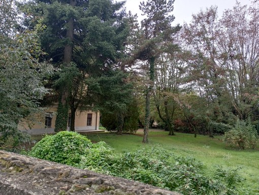 Bra, Italia Nostra e Legambiente: "Giù le mani dal parco di Villa Augusta" Bra, Italia Nostra e Legambiente: "Giù le mani dal parco di Villa Augusta"