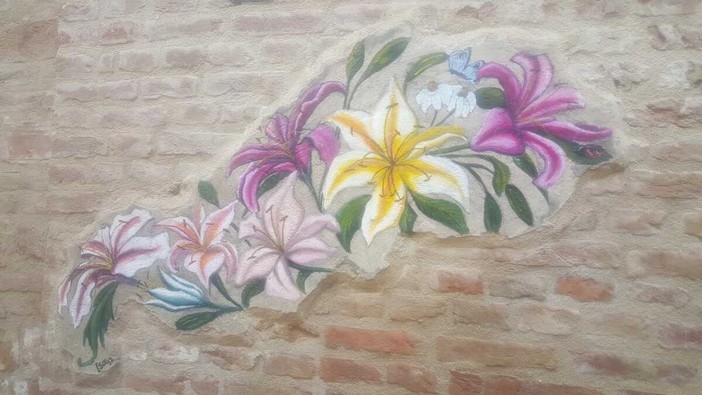 Bra, è primavera e sbocciano i fiori su un muro di via Bonino