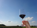 Ad Alba il corso IFTS “Wine Hospitality Manager” Alta Formazione gratuita dedicata al mondo del vino Ad Alba il corso IFTS “Wine Hospitality Manager” Alta Formazione gratuita dedicata al mondo del vino