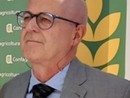 Confagricoltura Piemonte, cambio alla direzione: all'uscente Luigina Bassignana subentra Paolo Bertolotto
