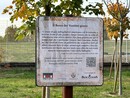 Riprendono gli appuntamenti per le celebrazioni dei Ventitré giorni della Città di Alba Riprendono gli appuntamenti per le celebrazioni dei Ventitré giorni della Città di Alba
