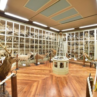 Il Museo Craveri di Bra