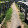 La buca presente sul percorso pedonale lungo strada Orti La buca presente sul percorso pedonale lungo strada Orti
