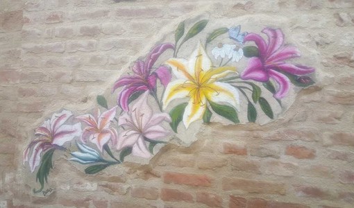 Bra, è primavera e sbocciano i fiori su un muro di via Bonino