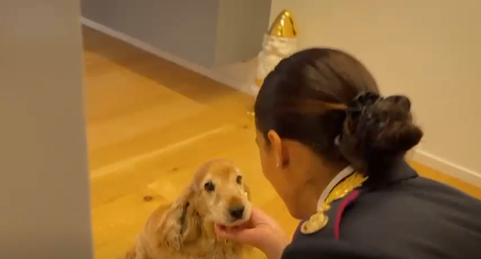Polizia di Stato: nuovo spot contro l'abbandono degli animali durante il periodo estivo [VIDEO]