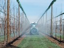 Patentino fitofarmaci: ultimi giorni per iscriversi al corso organizzato ad Alba da Cia Cuneo Patentino fitofarmaci: ultimi giorni per iscriversi al corso organizzato ad Alba da Cia Cuneo