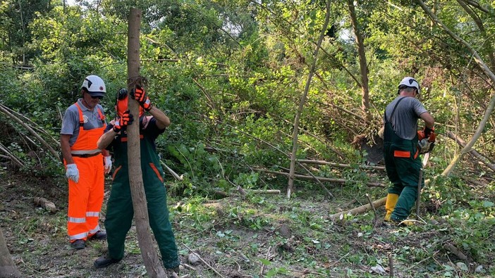 Nuovo direttivo per la Protezione Civile di Cherasco. Ai volontari il ringraziamento del sindaco Bogetti Nuovo direttivo per la Protezione Civile di Cherasco. Ai volontari il ringraziamento del sindaco Bogetti
