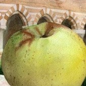 Viviamo in un posto bellissimo dove spicca il verde di Vezzolano Viviamo in un posto bellissimo dove spicca il verde di Vezzolano
