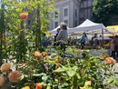 "Clorofilla 2025":  fiori, memoria e comunità. Ad Alba la natura si è fatta gesto d'amore e partecipazione