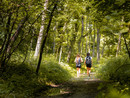 Cherasco, sul Sentiero del Bacio il terzo appuntamento dei “Walking Tours” Cherasco, sul Sentiero del Bacio il terzo appuntamento dei “Walking Tours”