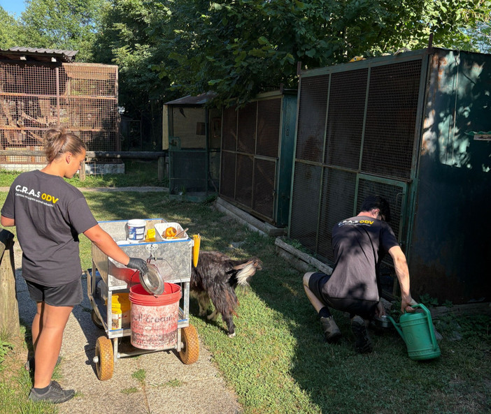 Volontari al lavoro al Cras di Bernezzo Volontari al lavoro al Cras di Bernezzo