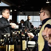 FARINÉL / Coi produttori langhetti in Canada per il futuro del settore enologico