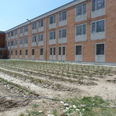 Carcere di Alba, detenuti forzano il cancello della sezione e feriscono sette agenti Carcere di Alba, detenuti forzano il cancello della sezione e feriscono sette agenti