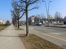 Corso Europa ad Alba Corso Europa ad Alba
