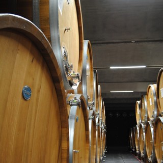 “La solidarietà è più forte della paura”: doppio incontro a Castiglione Falletto