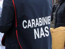 Sospensione dell'attività e 35mila euro di sanzioni: gravi irregolarità in un locale del Monregalese Sospensione dell'attività e 35mila euro di sanzioni: gravi irregolarità in un locale del Monregalese