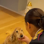 Polizia di Stato: nuovo spot contro l'abbandono degli animali durante il periodo estivo [VIDEO]