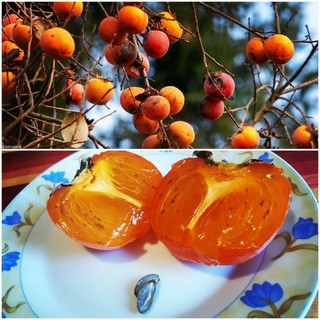 (Foto di Enrico Ruggeri) (Foto di Enrico Ruggeri)