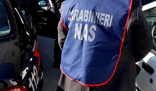 Traffico illecito di farmaci dopanti, perquisizioni anche in provincia di Cuneo