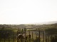 Govone, la Collina degli Elfi riapre le porte alle famiglie dopo la malattia