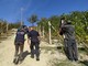 Nove le persone denunciate nell'ambito dell'indagine condotta dai Carabinieri del Nucleo Ispettorato del Lavoro di Cuneo