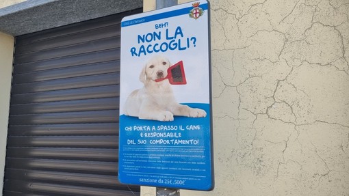 Quando l'inciviltà la fa da "padrone": a Cherasco l'invito a raccogliere le deiezioni dei cani