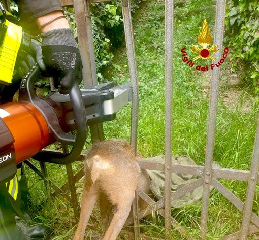 Immagine di repertorio